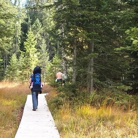 Отель Marvia Шварценберг-им-Брегенцервальд