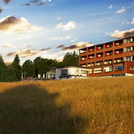 Отель Marvia 3*