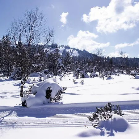 Marvia Отель Шварценберг-им-Брегенцервальд