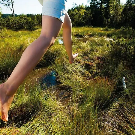 Marvia Отель Шварценберг-им-Брегенцервальд